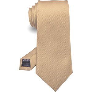 ⚡Men Champagne Imported Silk Blend Solid Formal Stylish Affordable Neck Tie